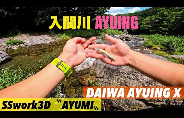 【入間川アユイング】渇水気味の入間川で鮎のサイトフィシング♫