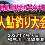 根尾川で一人鮎釣り大会⁉