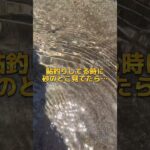 鮎釣りの時、砂の中見てたらすげぇの見つけた！！！ #鮎釣り #ものまね