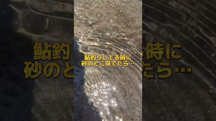 鮎釣りの時、砂の中見てたらすげぇの見つけた！！！ #鮎釣り #ものまね