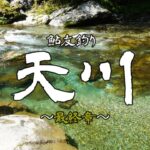 営業マン北川の天川友釣り～最終章～