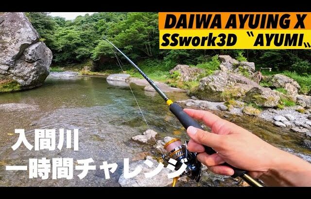 【入間川アユイング】鮎釣り１時間チャレンジ‼️