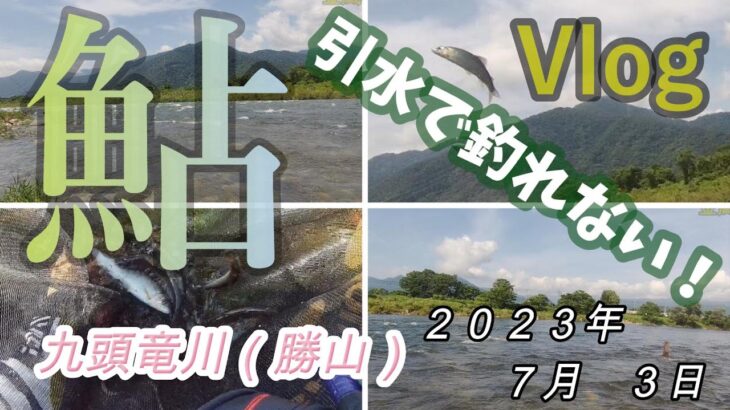 【九頭竜勝山】マジで釣れない！　２０２３．７．３
