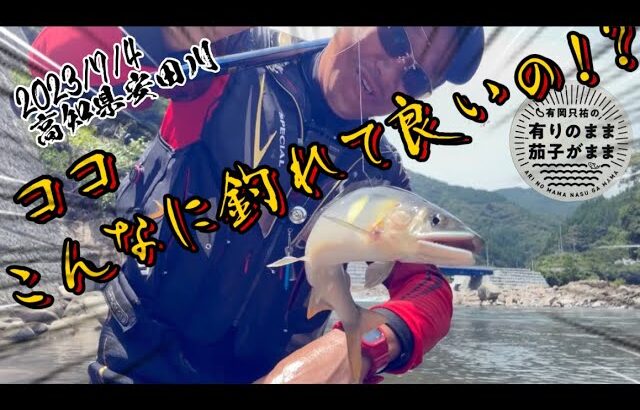 【鮎釣り】 新垢⇔残り垢どちらが釣れるのか？