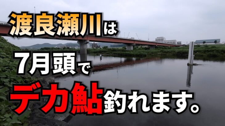 デカ鮎の聖地！？渡良瀬川のポテンシャルが半端なかった件【鮎釣り】