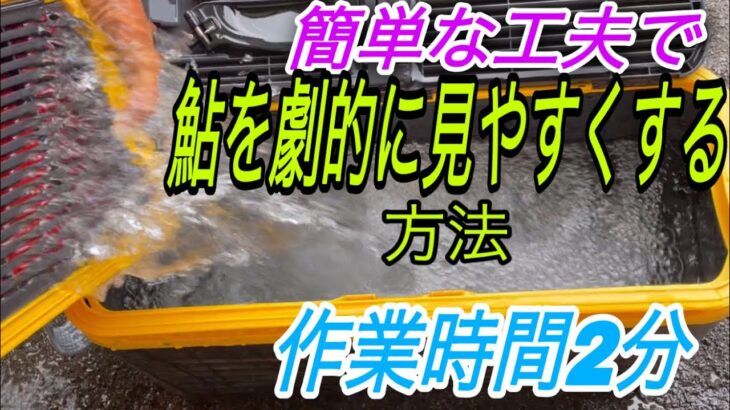 囮缶に入った鮎を劇的に見やすくする方法