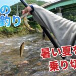 【鮎釣り】暑すぎるので涼みがてら爆釣してきました