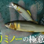【ルアー鮎】開発者が語るオトリミノーの極意！ルアー鮎 徹底攻略ガイド / 藤松弘一