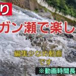ガンガン瀬で楽しむ❗編　鮎釣り❗