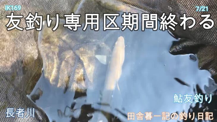 友釣り専用区期間終わる！/ 田舎暮一記の釣り日記