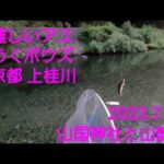京都 上桂川の鮎釣り③  山国神社裏、山陵橋上流  でメチャクチャ苦労したの巻。