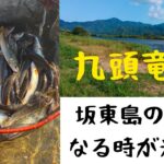 九頭竜川‼️坂東島の男になる時が来た‼️