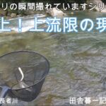 鮎遡上！上流限の現在地！/ 田舎暮一記の釣り日記