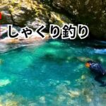 透明度が高すぎる清流で鮎しゃくり釣り【高知県】
