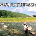 [鮎釣り] 激暑い大野市九頭竜川で短時間勝負☀️🌟