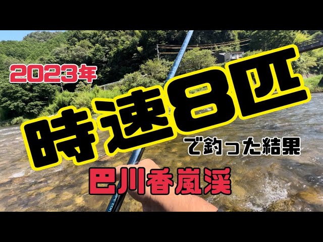 【鮎釣り】こんなに釣れる川だったっけ？！香嵐渓で鮎釣り
