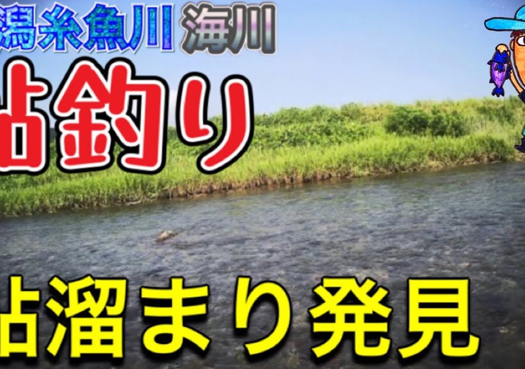 【新潟糸魚川】海川で鮎釣りやってみた！