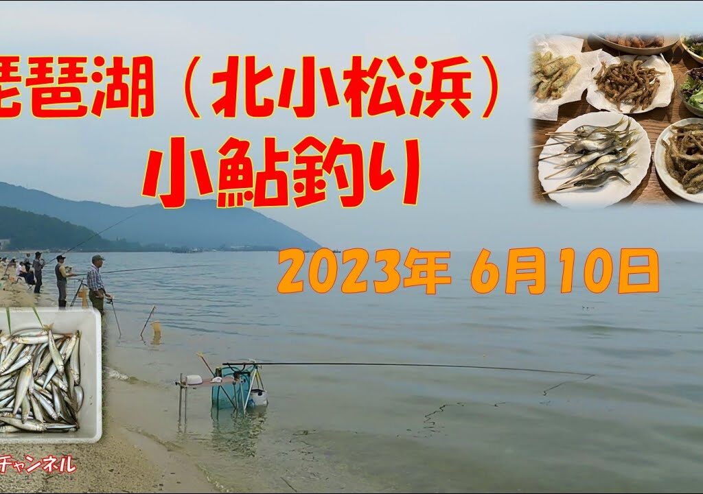 琵琶湖 北小松浜 小鮎釣り秘策 掛が悪い時必見 アメンボチャンネル