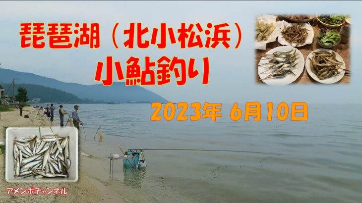 琵琶湖 北小松浜 小鮎釣り秘策 掛が悪い時必見 アメンボチャンネル