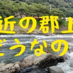 最近の郡上鮎どうなの？