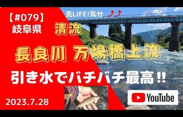 【#079】2023.7 .28 岐阜県　長良川　万場橋上流