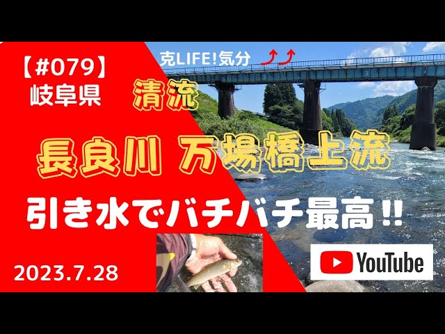 【#079】2023.7 .28 岐阜県　長良川　万場橋上流