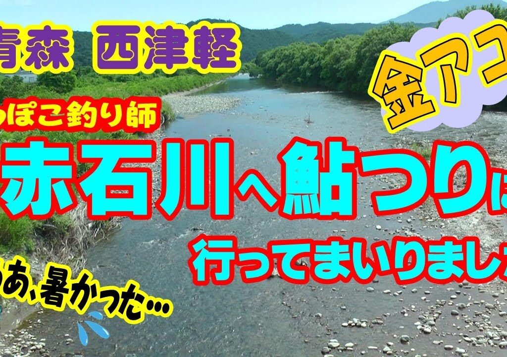 【アユ釣り】赤石川へアユ釣りに行ってきました。釣れたシーンは1カットしかありません