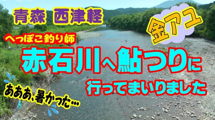 【アユ釣り】赤石川へアユ釣りに行ってきました。釣れたシーンは1カットしかありません