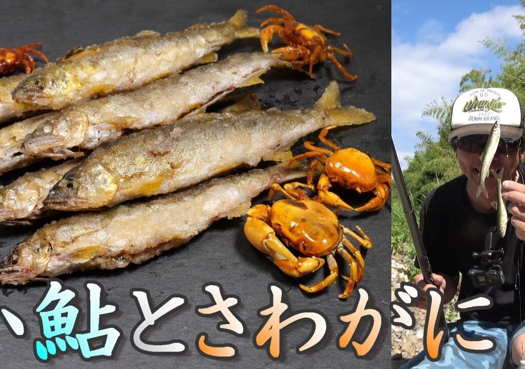 小鮎釣りとサワガニ捕り！サワガニと小鮎を食べる。から揚げうまいぞ。　釣って食べる。コアユ釣り。小物釣り114。 琵琶湖 River Fishing