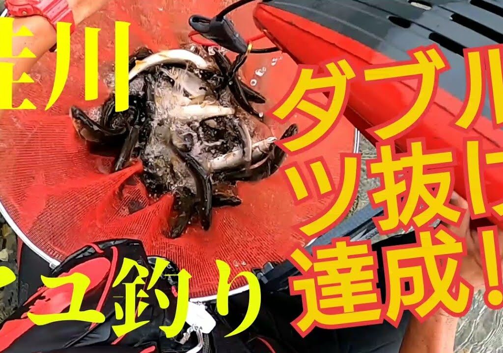 【鮎釣り】山梨県 桂川 釣行#18