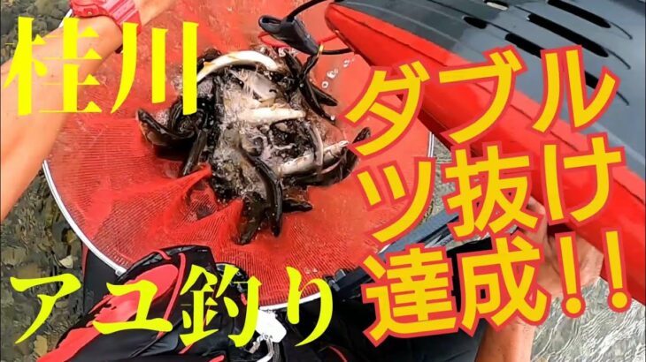 【鮎釣り】山梨県 桂川 釣行#18