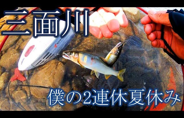 【鮎釣り】三面川 僕の2連休夏休み①