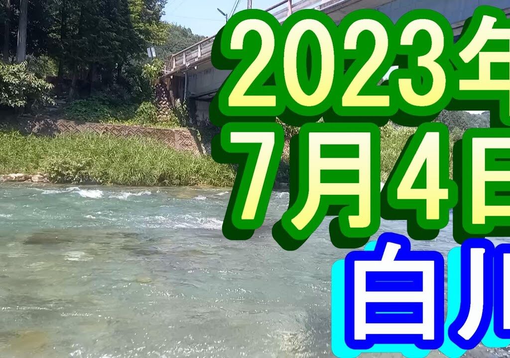 鮎釣り 20㎝高引水残り垢＆新垢狙い 中川橋下  白川 2023年
