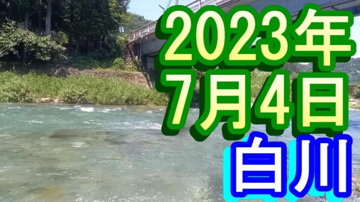鮎釣り 20㎝高引水残り垢＆新垢狙い 中川橋下  白川 2023年