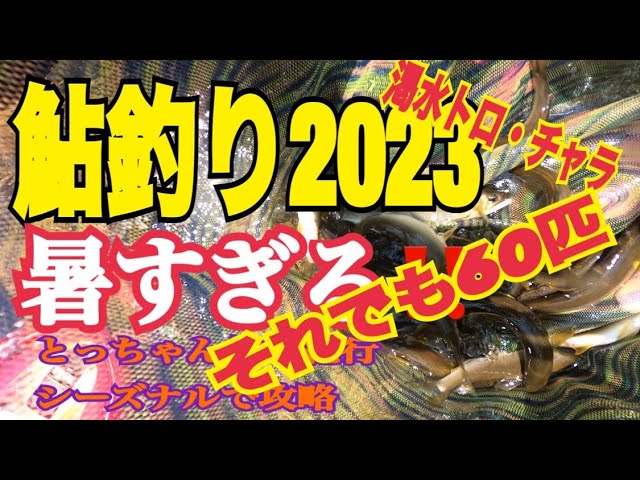 鮎釣り2023 暑すぎる‼️シーズナル攻略