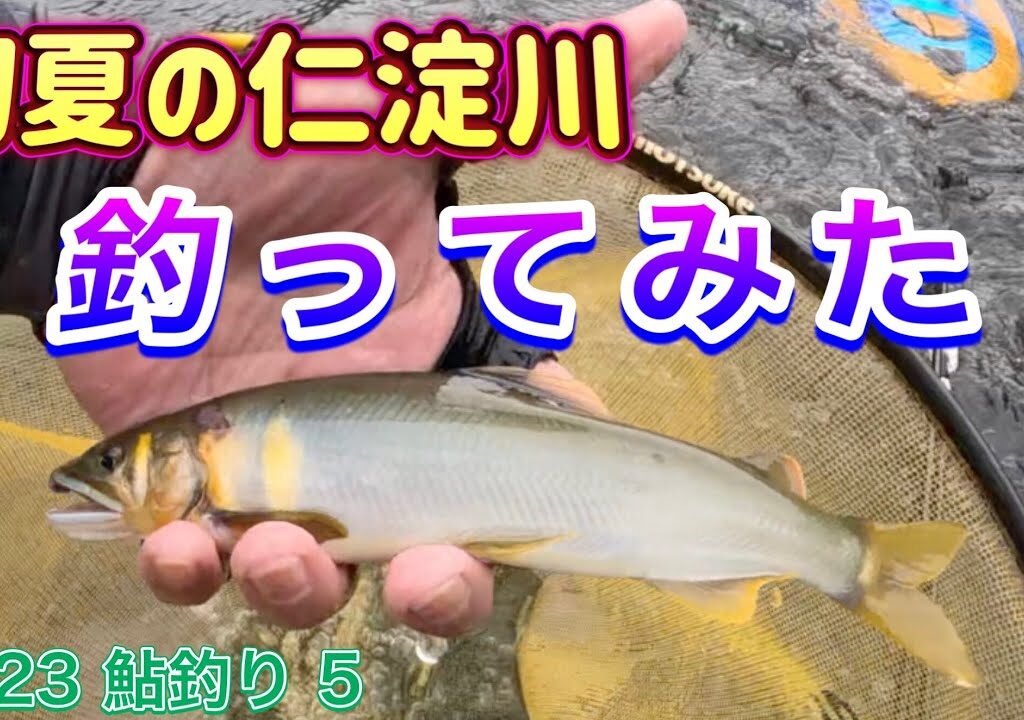 2023 鮎釣り ５　【初夏の仁淀川　釣ってみた！】