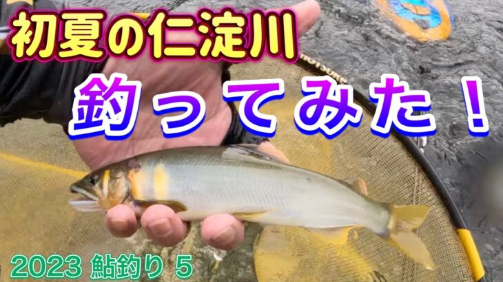 2023 鮎釣り ５　【初夏の仁淀川　釣ってみた！】