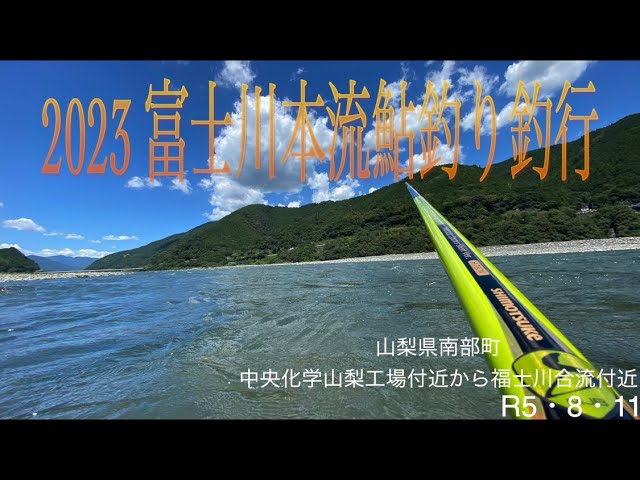 2023 富士川本流鮎釣り釣行