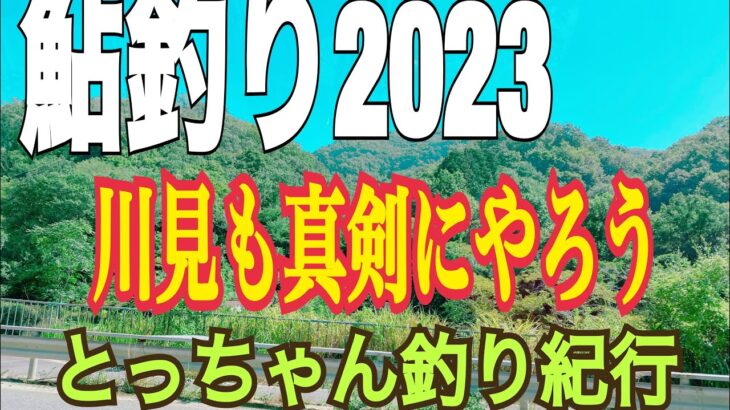 鮎釣り2023 川見も真剣にやろう