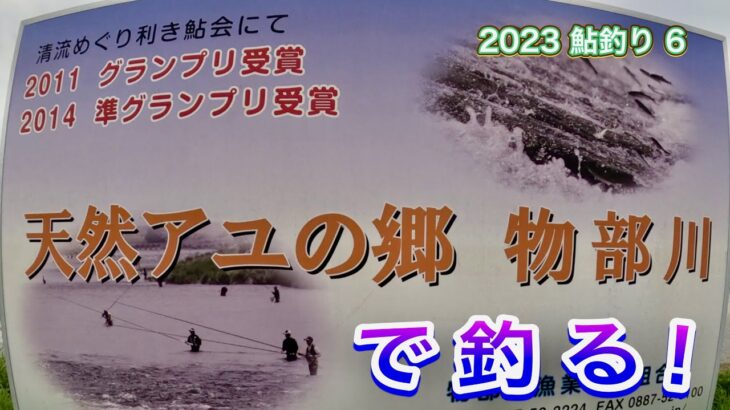 2023 鮎釣り ６【天然アユの郷　物部川で釣る！】