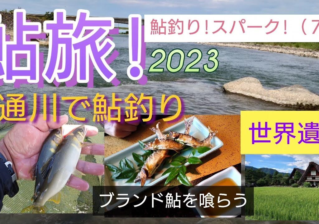 鮎旅!2023。神通川の鮎釣り＋ブランド鮎を食し、世界遺産を巡る!鮎釣りスパーク（７）