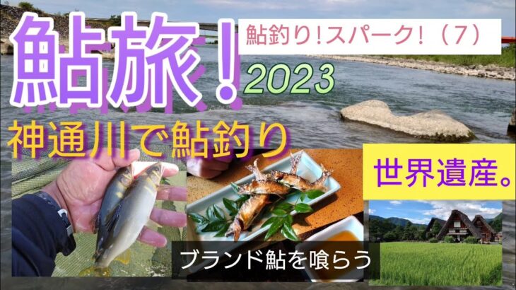 鮎旅!2023。神通川の鮎釣り＋ブランド鮎を食し、世界遺産を巡る!鮎釣りスパーク（７）