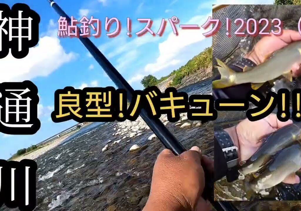 神通川。良型!バキューン!!鮎釣りスパーク!2023（８）