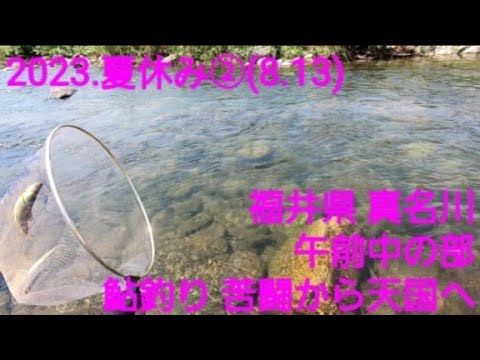 2023 夏休み鮎釣り@福井県 九頭竜川 真名川(2023.8.13) 午前中の部