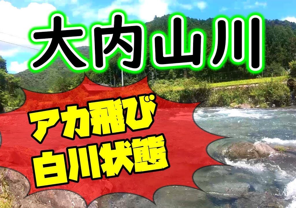 アカ飛び７～８割。垢が残って釣れる場所を探してください【2023年　大内山川の鮎釣り】