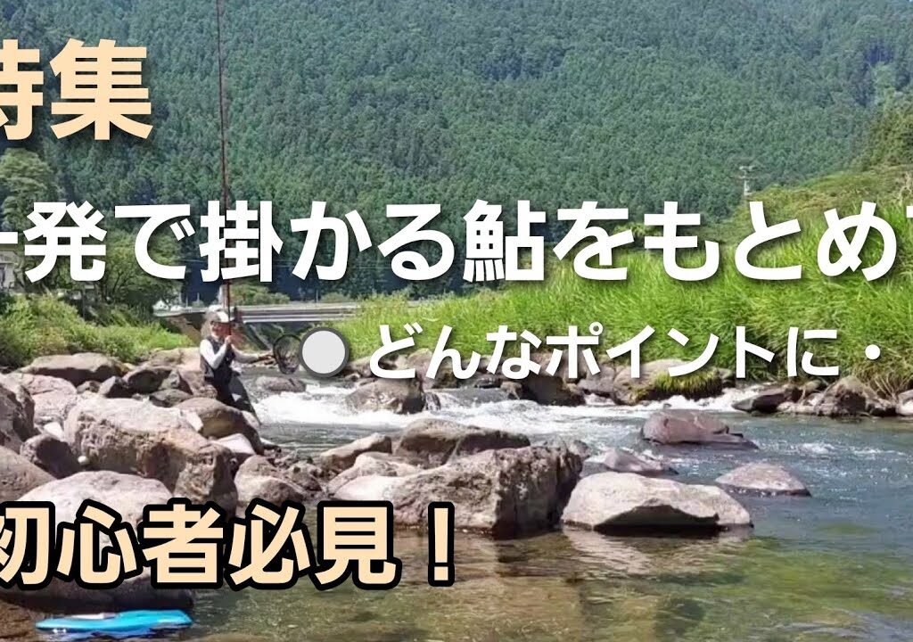 2023年友釣り特集　一発で掛かる追い気の強い鮎はどのポイントに！第一弾　【鮎の友釣り】