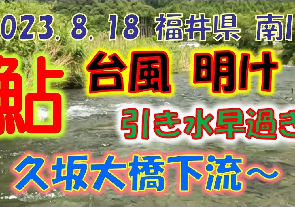 2023 8 18 福井県 南川 台風後