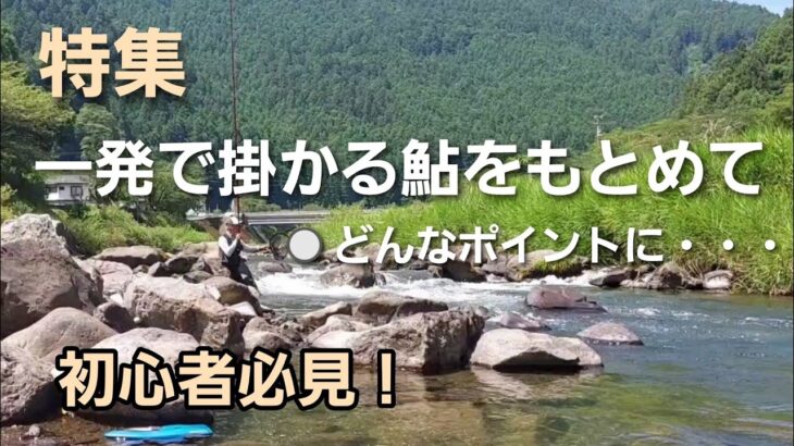 2023年友釣り特集　一発で掛かる追い気の強い鮎はどのポイントに！第一弾　【鮎の友釣り】