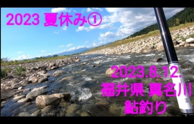 2023 夏休み釣り 8.12  福井県 九頭竜川支流 真名川 鮎釣り