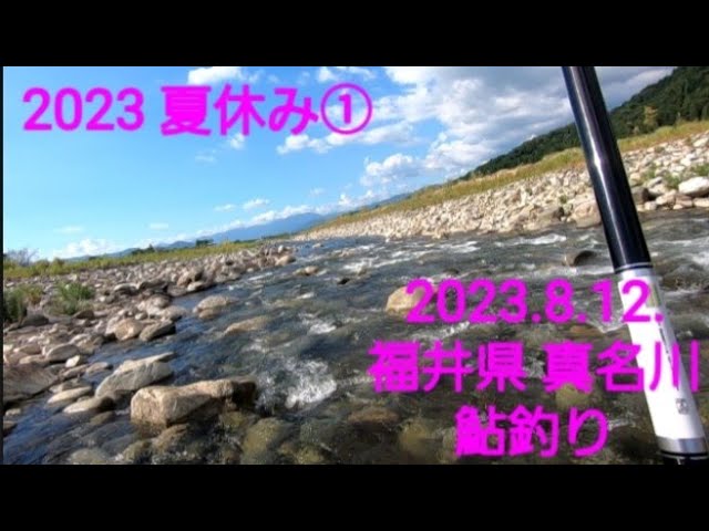 2023 夏休み釣り 8.12  福井県 九頭竜川支流 真名川 鮎釣り